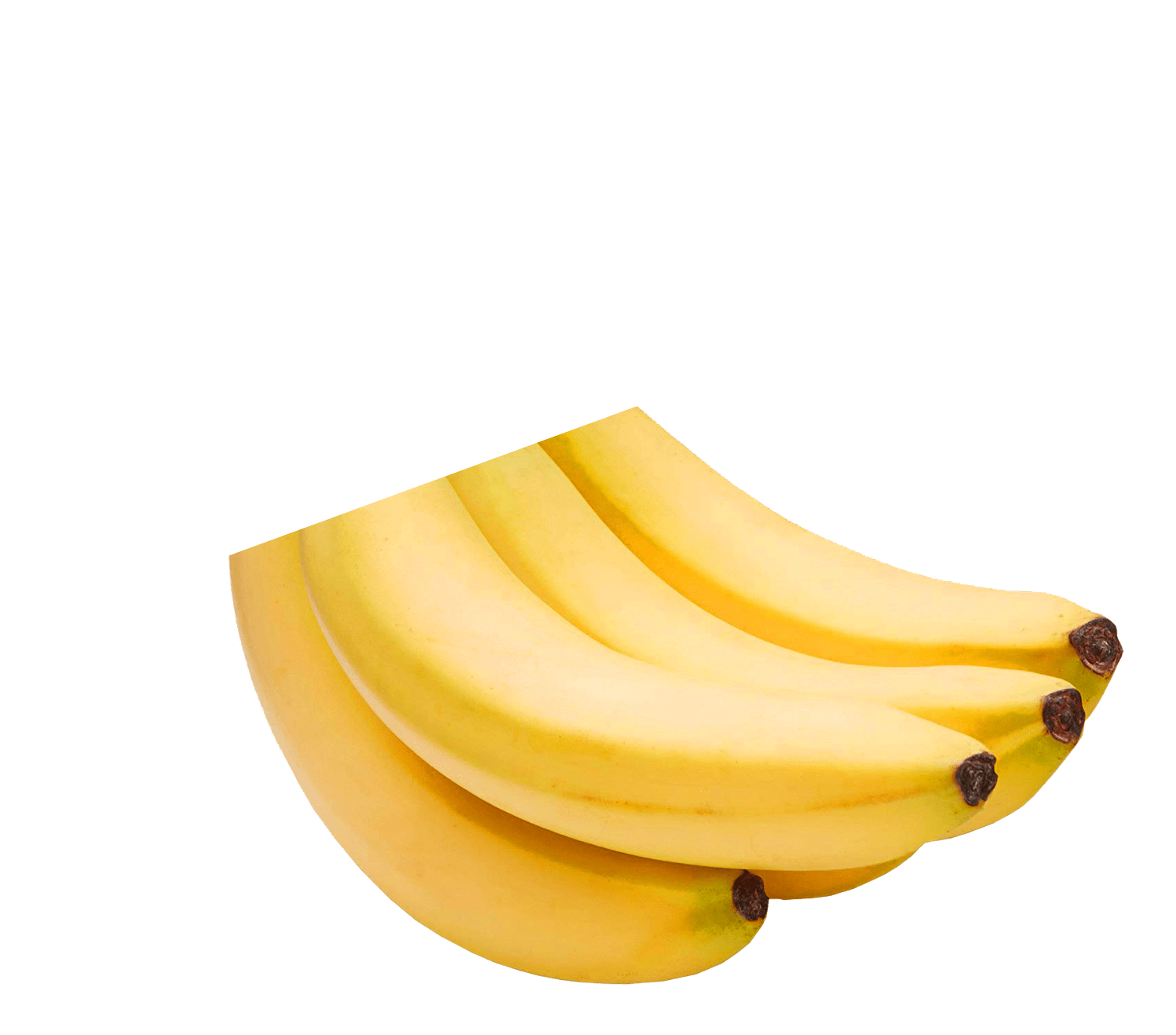 The lower part of a bunch of bananas