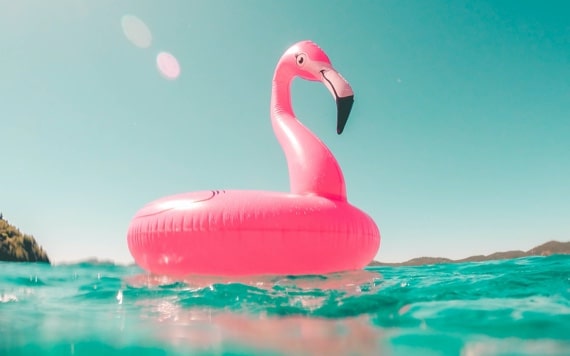 Inflatable flamingo in swimming pool gift card