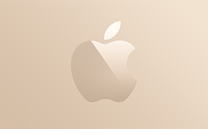 Apple Store gift cards and vouchers