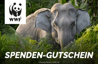 WWF Germany gift cards and vouchers