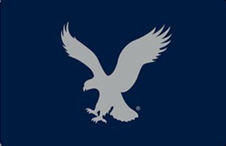 American Eagle USA gift card