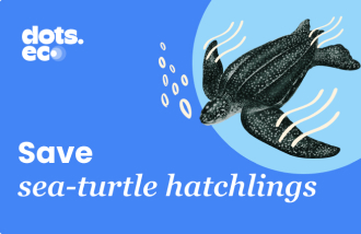Dots.eco - Save a sea turtle hatchling UK gift card