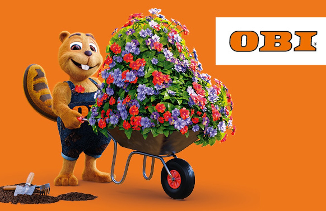 OBI Germany gift card