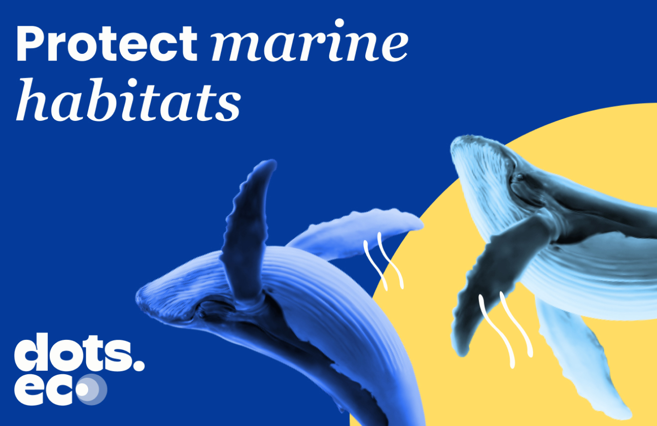 Dots.eco - Protect 10 sqm of marine area Europe gift card