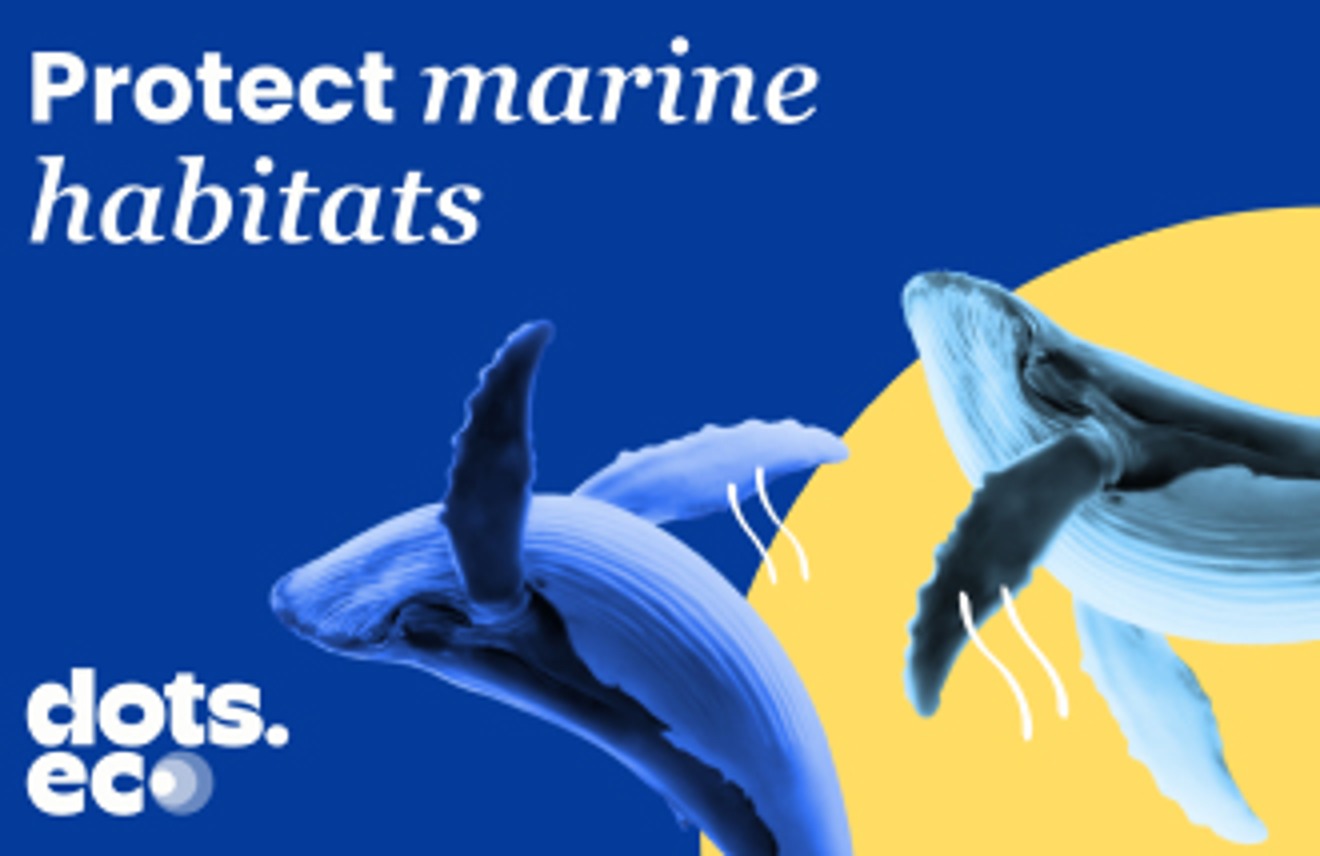 Dots.eco - Protect 10 sqm of Marine Habitat Switzerland gift card