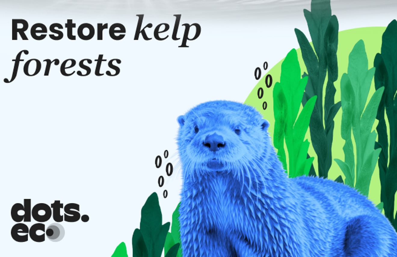 Dots.eco - Restore Kelp Forests Europe gift card