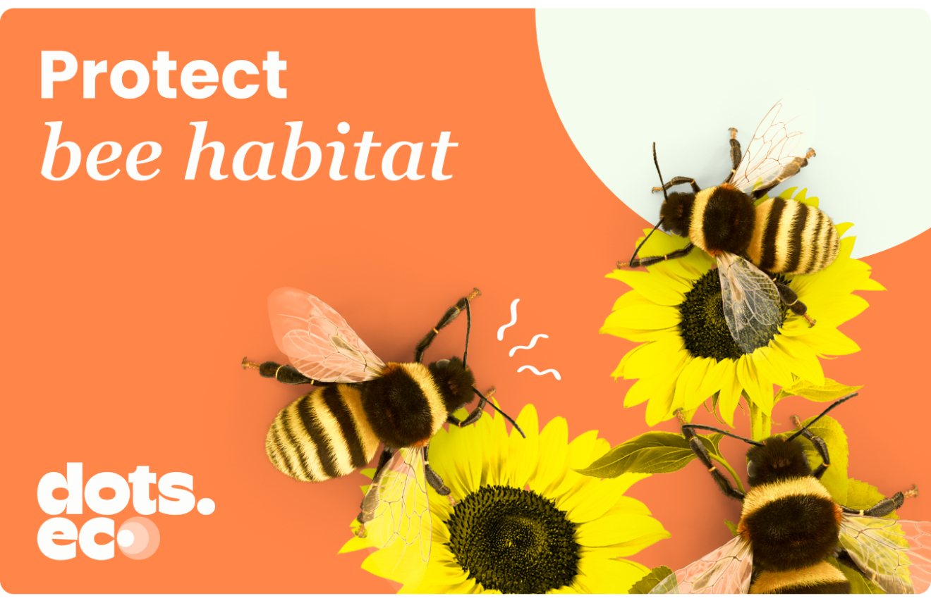 Dots.eco - Protect bee habitat Europe gift card